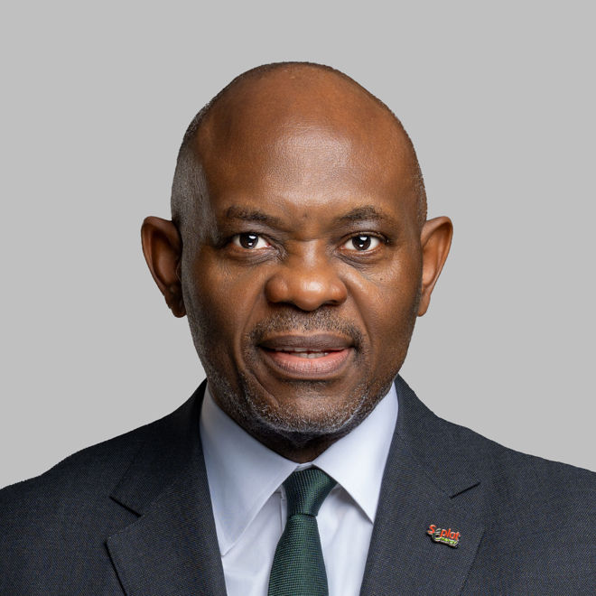 Mr. Tony O. Elumelu